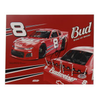 Dale Earnhardt Jr. Signed NASCAR 8x10 Photo (PSA) at PristineAuction.com