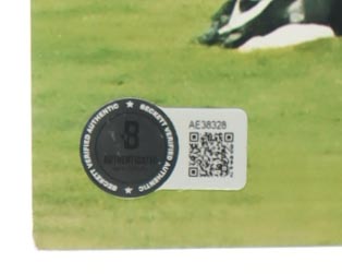 2005 White Sox 16x20 Photo Team-Signed By (23) with Ozzie Guillen, Frank Thomas, Luis Vizcaino, Paul Konerko (Beckett) at PristineAuction.com 2005 White Sox 16x20 Photo Team-Signed By (23) with Ozzie Guillen, Frank Thomas, Luis Vizcaino, Paul Konerko (Beckett) at PristineAuction.com