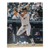 Anthony Volpe Signed Yankees 16x20 Photo (MLB & Fanatics) at PristineAuction.com