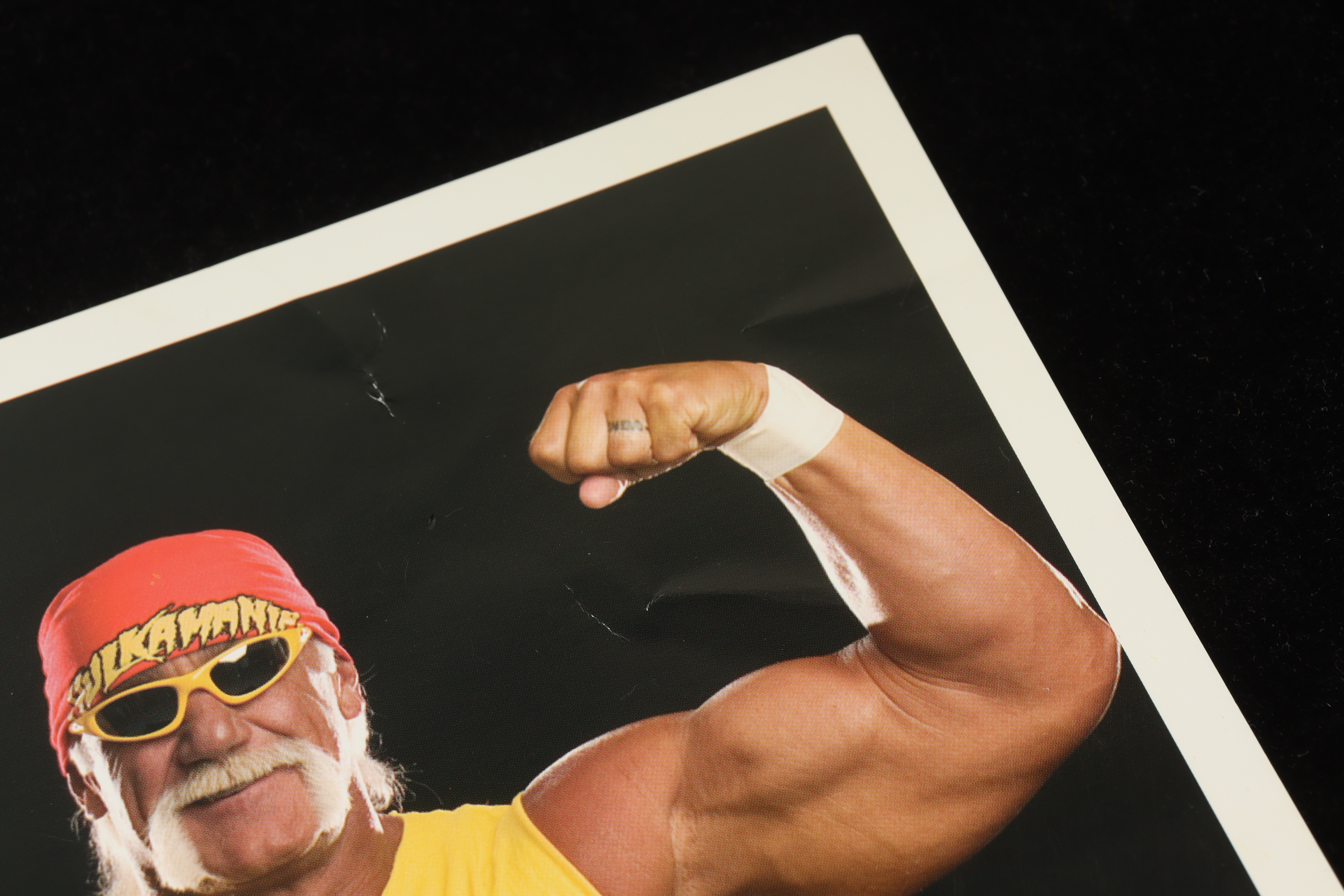 Hulk Hogan Signed WWE 8x10 Photo (Beckett) at PristineAuction.com Hulk Hogan Signed WWE 8x10 Photo (Beckett) at PristineAuction.com