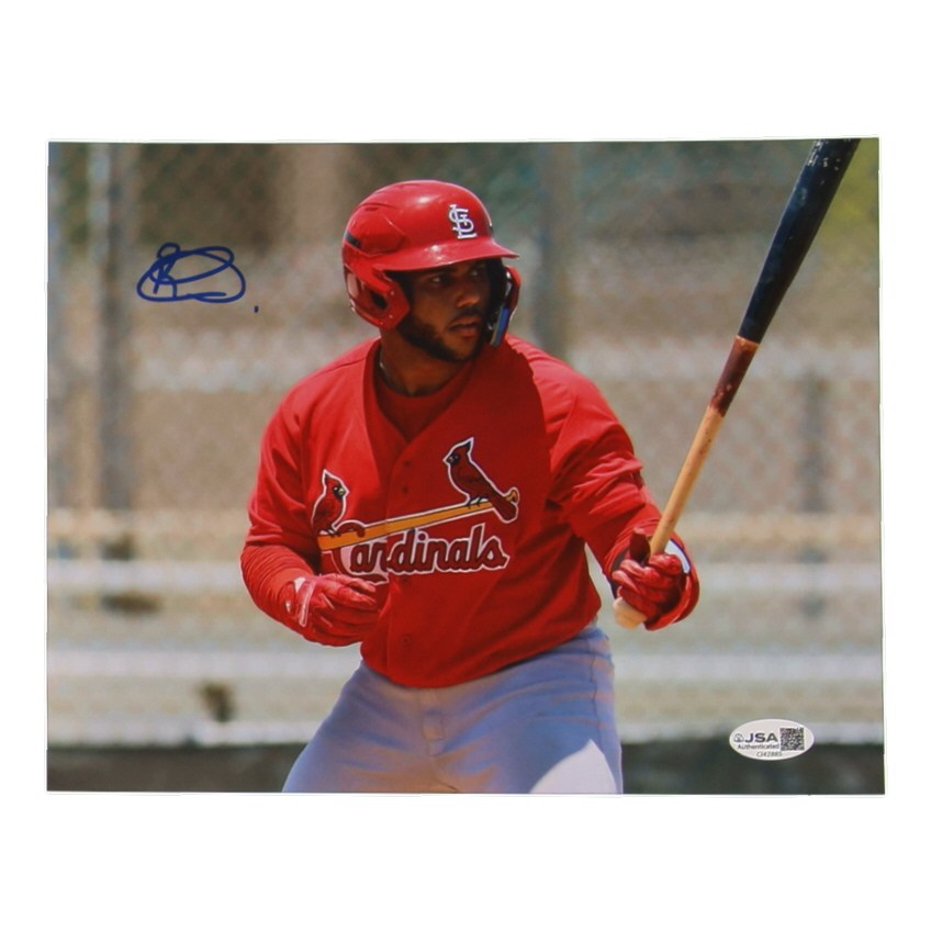 Rainiel Rodriguez Signed Cardinals 8x10 Photo (JSA) at PristineAuction.com Rainiel Rodriguez Signed Cardinals 8x10 Photo (JSA) at PristineAuction.com