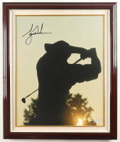 Tiger Woods Signed LE "Golf Swing Silhouette" Custom Framed Canvas Display #72/100 (UDA & JSA) at PristineAuction.com