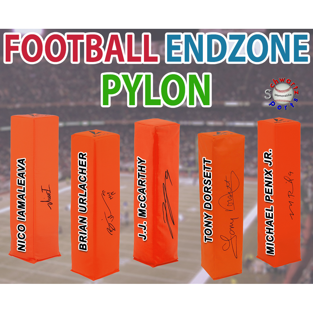 Football Endzone Pylon Signed Mystery Box - Series 20 (Limited to 150) – Schwartz Sports at PristineAuction.com