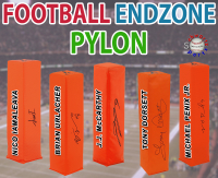 Football Endzone Pylon Signed Mystery Box - Series 20 (Limited to 150) – Schwartz Sports at PristineAuction.com