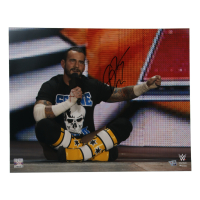 CM Punk Signed WWE 16x20 Photo (Fanatics) at PristineAuction.com