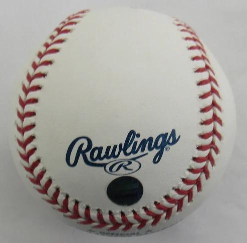 Bernie Williams Signed OML Baseball (Steiner) at PristineAuction.com Bernie Williams Signed OML Baseball (Steiner) at PristineAuction.com