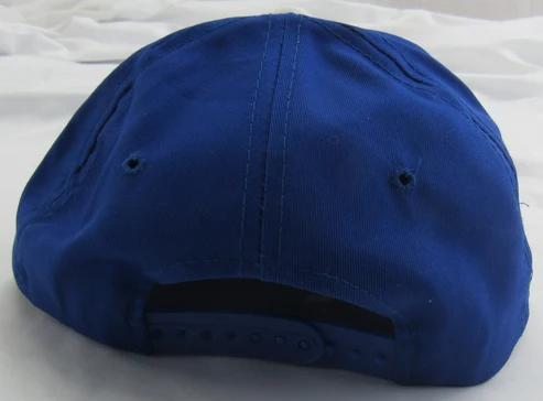 Mike Piazza Signed Dodgers Hat (JSA) at PristineAuction.com Mike Piazza Signed Dodgers Hat (JSA) at PristineAuction.com