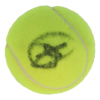 Novak Djokovic Signed Tennis Ball (PSA) at PristineAuction.com