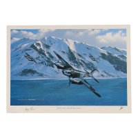 George Parry Signed Stan Stokes "Those Nagging Mosquitoes" Lithograph (AIV) at PristineAuction.com