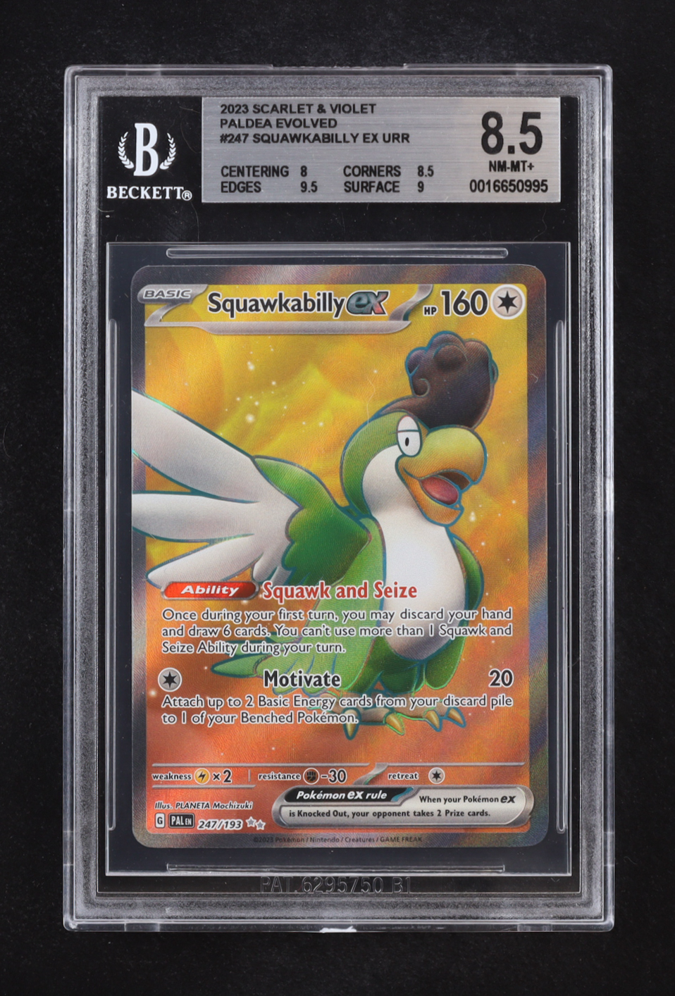 Squawkabilly ex URR 2023 Pokemon Scarlet and Violet Paldea Evolved #247 (BGS 8.5) at PristineAuction.com Squawkabilly ex URR 2023 Pokemon Scarlet and Violet Paldea Evolved #247 (BGS 8.5) at PristineAuction.com