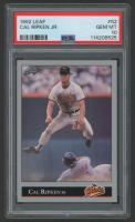 Cal Ripken Jr. 1992 Leaf #52 (PSA 10) at PristineAuction.com