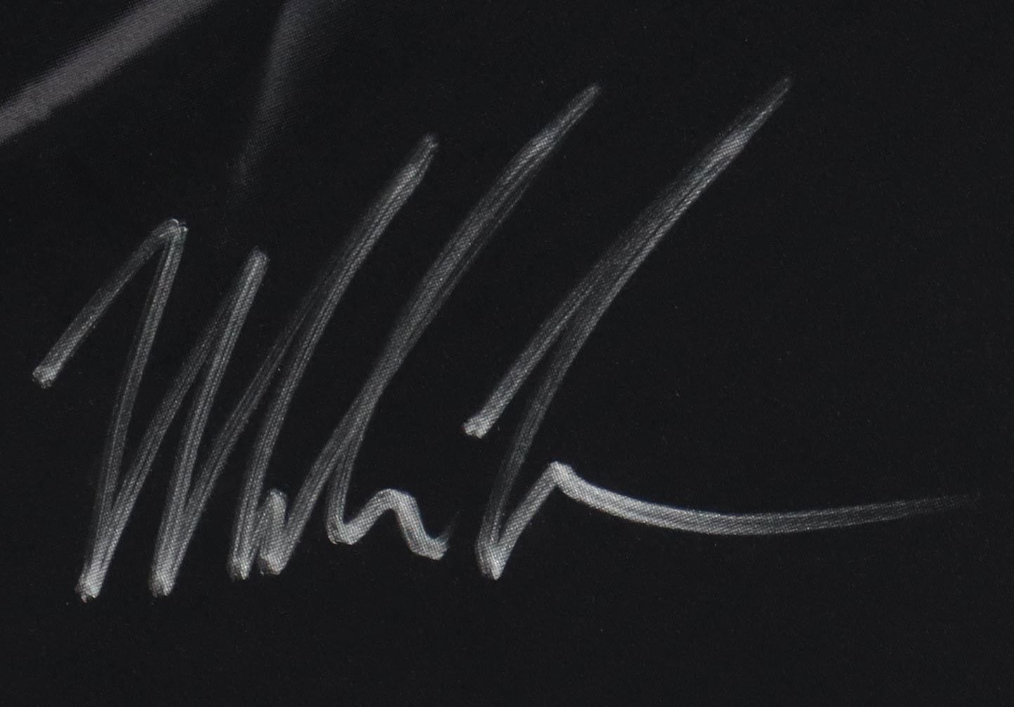 Mike Tyson Signed Title Boxing Trunks (JSA & Tyson) at PristineAuction.com Mike Tyson Signed Title Boxing Trunks (JSA & Tyson) at PristineAuction.com