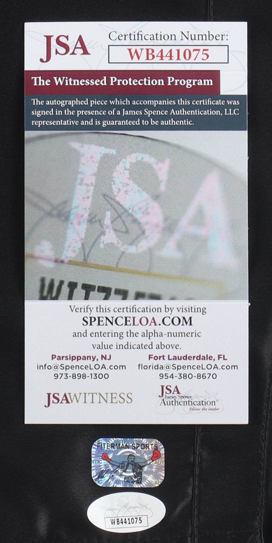 Mike Tyson Signed Title Boxing Trunks (JSA & Tyson) at PristineAuction.com Mike Tyson Signed Title Boxing Trunks (JSA & Tyson) at PristineAuction.com