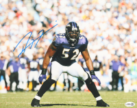 Ray Lewis Signed Ravens 11x14 Photo (JSA) at PristineAuction.com