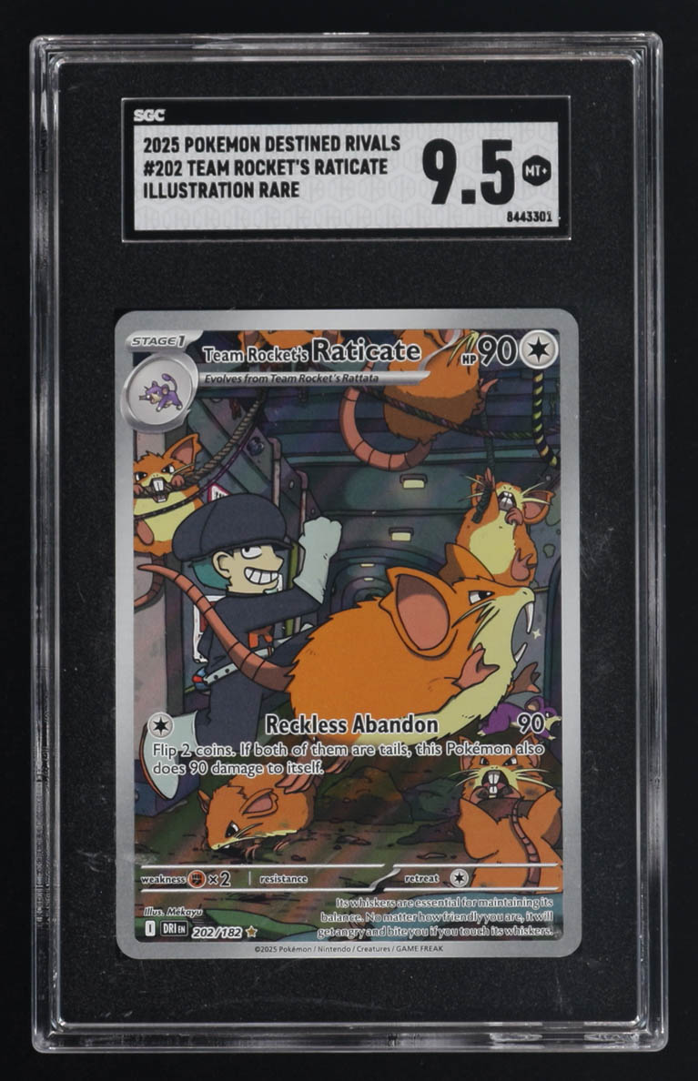 Team Rocket's Raticate Pokemon 2025 Destined Rivals Holo #202 (SGC 9.5) at PristineAuction.com Team Rocket's Raticate Pokemon 2025 Destined Rivals Holo #202 (SGC 9.5) at PristineAuction.com