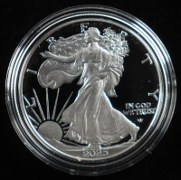 2025-W American Silver Eagle at PristineAuction.com