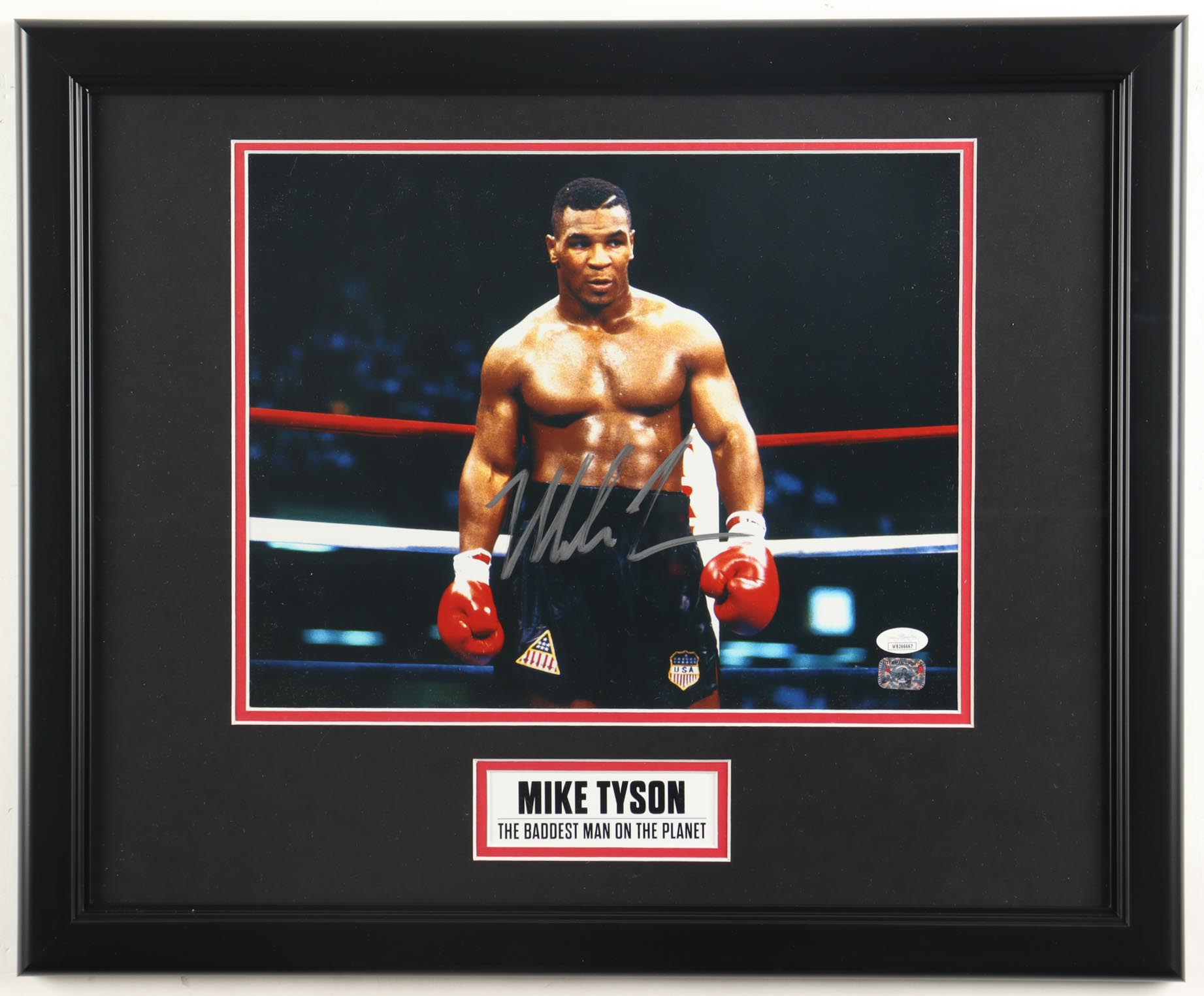 Mike Tyson Signed Custom Framed Photo Display (Tyson & JSA) at PristineAuction.com Mike Tyson Signed Custom Framed Photo Display (Tyson & JSA) at PristineAuction.com
