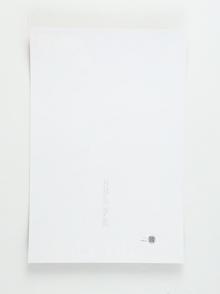 Amir Talai & Krystina Alabado Signed "Hazbin Hotel" 8x12 Photo (JSA) at PristineAuction.com Amir Talai & Krystina Alabado Signed "Hazbin Hotel" 8x12 Photo (JSA) at PristineAuction.com