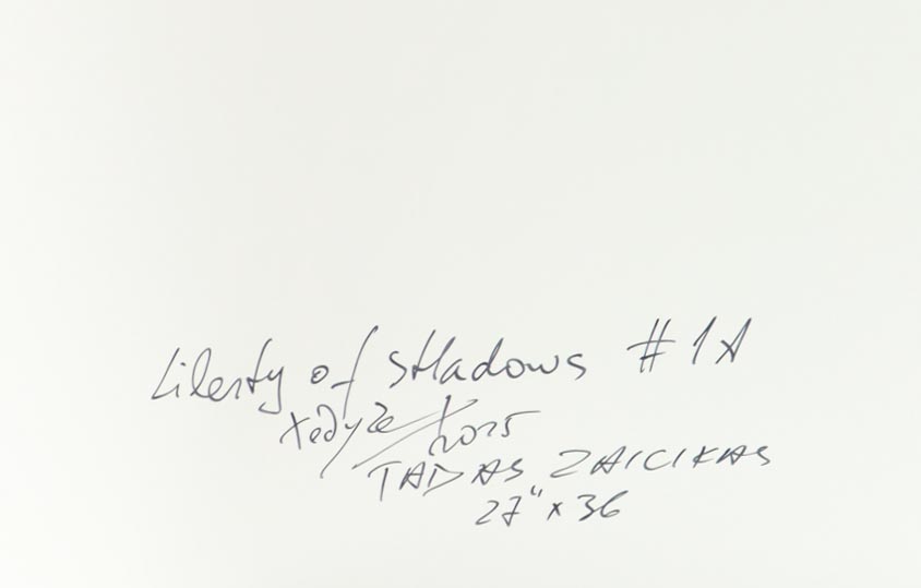"Liberty #1A" 27x36 2025 Print by Tadas Zaicikas | TedyZet (Zaicikas) at PristineAuction.com "Liberty #1A" 27x36 2025 Print by Tadas Zaicikas | TedyZet (Zaicikas) at PristineAuction.com
