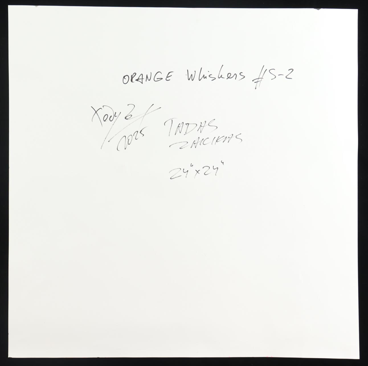 "Orange Whiskers #S-2" 24x24 2025 Original Mixed Media by Tadas Zaicikas | TedyZet (Zaicikas) at PristineAuction.com "Orange Whiskers #S-2" 24x24 2025 Original Mixed Media by Tadas Zaicikas | TedyZet (Zaicikas) at PristineAuction.com