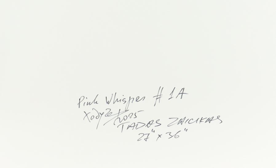 "Pink Whisper #1A" 27x36 2025 Print by Tadas Zaicikas | TedyZet (Zaicikas) at PristineAuction.com "Pink Whisper #1A" 27x36 2025 Print by Tadas Zaicikas | TedyZet (Zaicikas) at PristineAuction.com