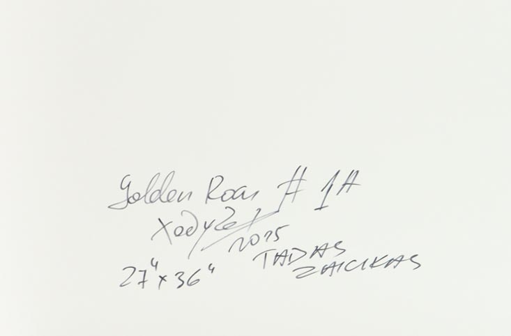 "Golden Roar #1A" 27x36 2025 Print by Tadas Zaicikas | TedyZet (Zaicikas) at PristineAuction.com "Golden Roar #1A" 27x36 2025 Print by Tadas Zaicikas | TedyZet (Zaicikas) at PristineAuction.com