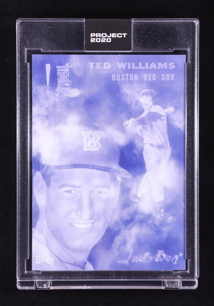 Ted Williams 2020 Topps Project 2020 #146 Don C
