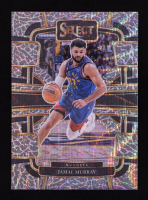 Jamal Murray 2023-24 Select Prizms Elephant #35 at PristineAuction.com
