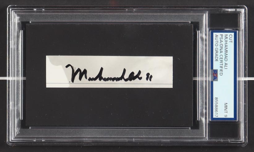 Muhammad Ali Signed Custom Framed Cut Display with Everlast Boxing Trunks (PSA | Mint 9) at PristineAuction.com Muhammad Ali Signed Custom Framed Cut Display with Everlast Boxing Trunks (PSA | Mint 9) at PristineAuction.com
