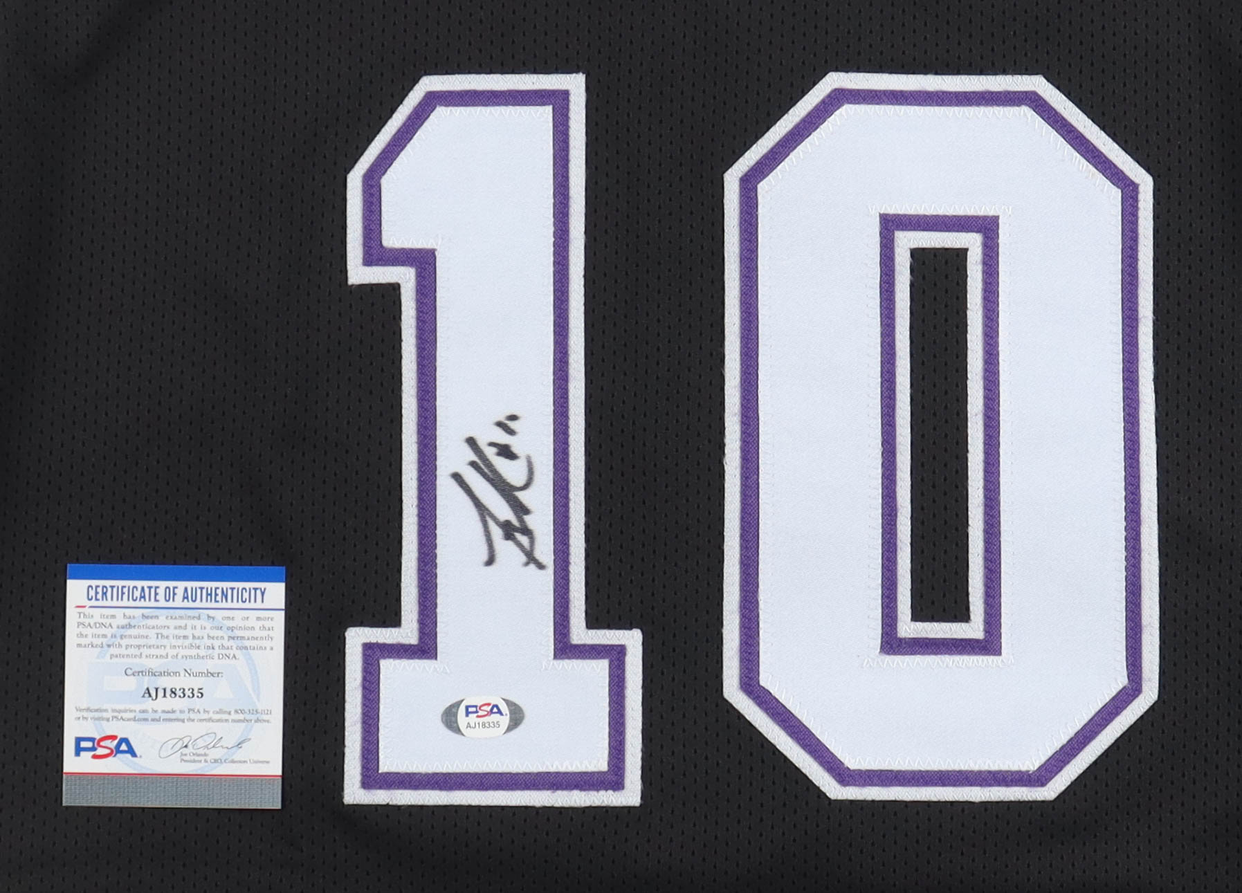 Mike Bibby Signed Jersey (PSA) at PristineAuction.com Mike Bibby Signed Jersey (PSA) at PristineAuction.com
