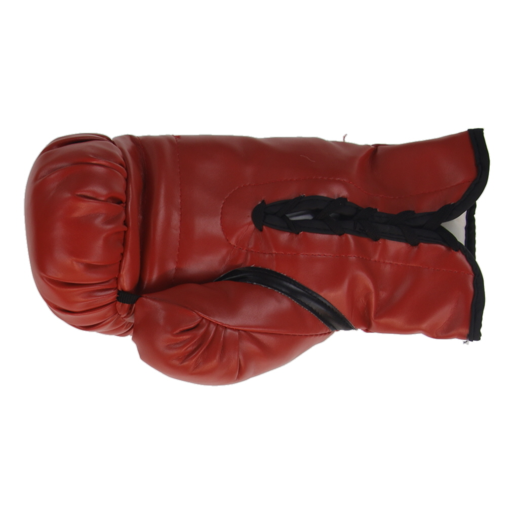 Roberto Duran Signed Everlast Boxing Glove (JSA) at PristineAuction.com Roberto Duran Signed Everlast Boxing Glove (JSA) at PristineAuction.com