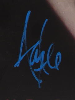 Amy Lee Signed Evanescence "The Bitter Truth" Vinyl Record Album (PSA) at PristineAuction.com Amy Lee Signed Evanescence "The Bitter Truth" Vinyl Record Album (PSA) at PristineAuction.com