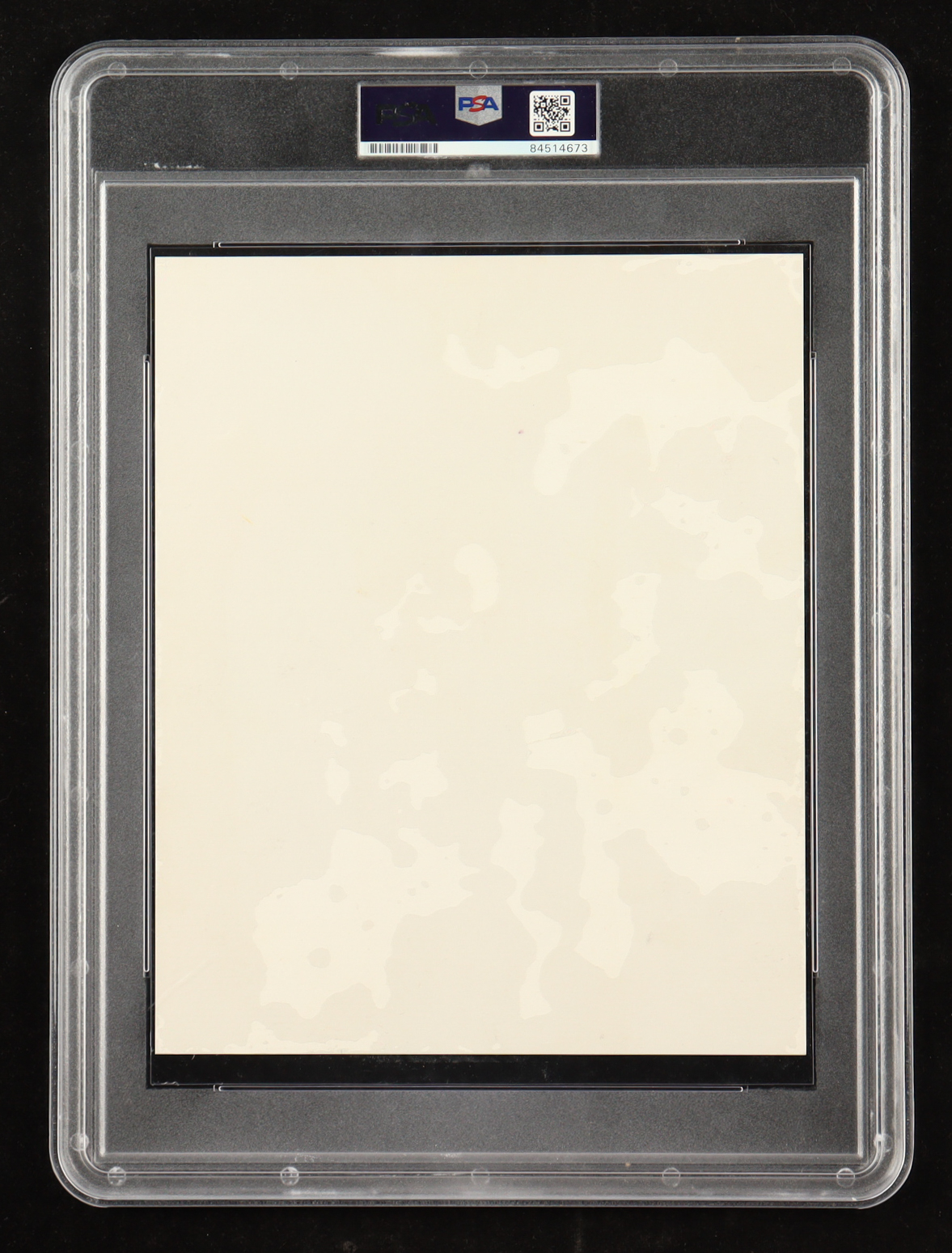 Chyna Signed WWE 8x10 Photo (PSA) at PristineAuction.com Chyna Signed WWE 8x10 Photo (PSA) at PristineAuction.com