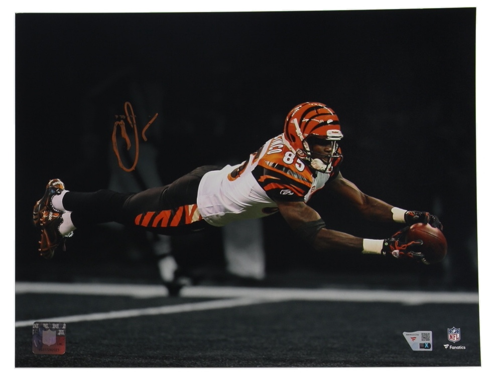 Chad "Ochocinco" Johnson Signed Bengals 11x14 Photo (Fanatics) at PristineAuction.com Chad "Ochocinco" Johnson Signed Bengals 11x14 Photo (Fanatics) at PristineAuction.com