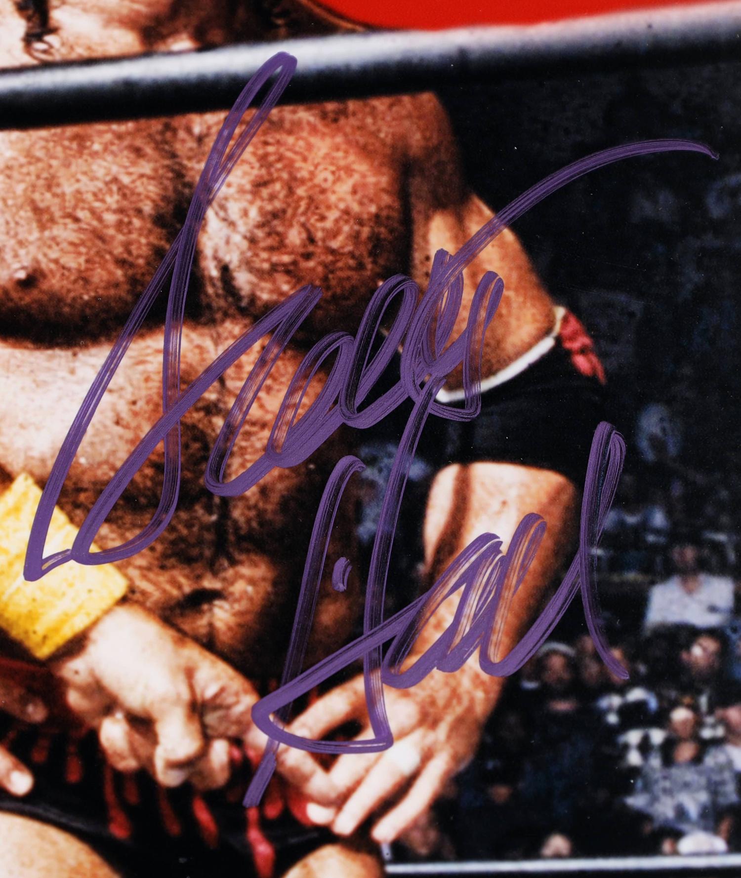 Hollywood Hulk Hogan, Kevin Nash, & Scott Hall Signed WWE 16x20 Photo Inscribed "Hollywood Hogan 4 Life NWO" (JSA) at PristineAuction.com Hollywood Hulk Hogan, Kevin Nash, & Scott Hall Signed WWE 16x20 Photo Inscribed "Hollywood Hogan 4 Life NWO" (JSA) at PristineAuction.com