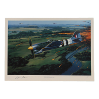 Roland Beamont Signed Stan Stokes "The Exterminator" Lithograph (AIV) at PristineAuction.com