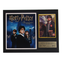 "Harry Potter and the Philosopher's Stone" 11x14 Custom Matted 2001 Harry & Hedwig Panini Sticker Display at PristineAuction.com