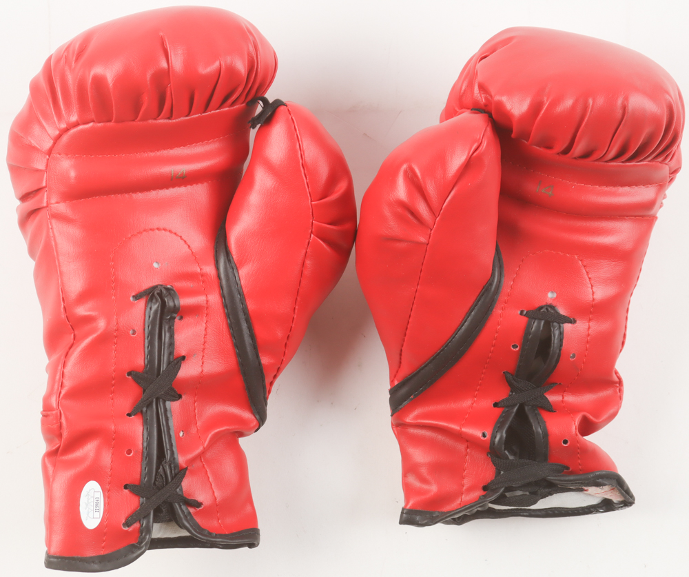 Muhammad Ali Signed Pair of Everlast Boxing Gloves With Display Case (JSA) at PristineAuction.com Muhammad Ali Signed Pair of Everlast Boxing Gloves With Display Case (JSA) at PristineAuction.com