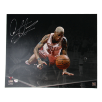 Dennis Rodman Signed Bulls 16x20 Photo (Fanatics) at PristineAuction.com