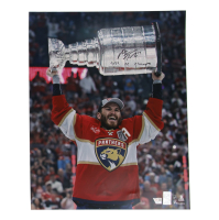 Matthew Tkachuk Signed Panthers 16x20 Photo Inscribed "2024 SC Champs" (Fanatics) at PristineAuction.com
