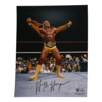 Hulk Hogan Signed WWE 16x20 Photo (Fanatics) at PristineAuction.com