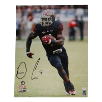Dalvin Cook Signed Seminoles 16x20 Photo (JSA) at PristineAuction.com