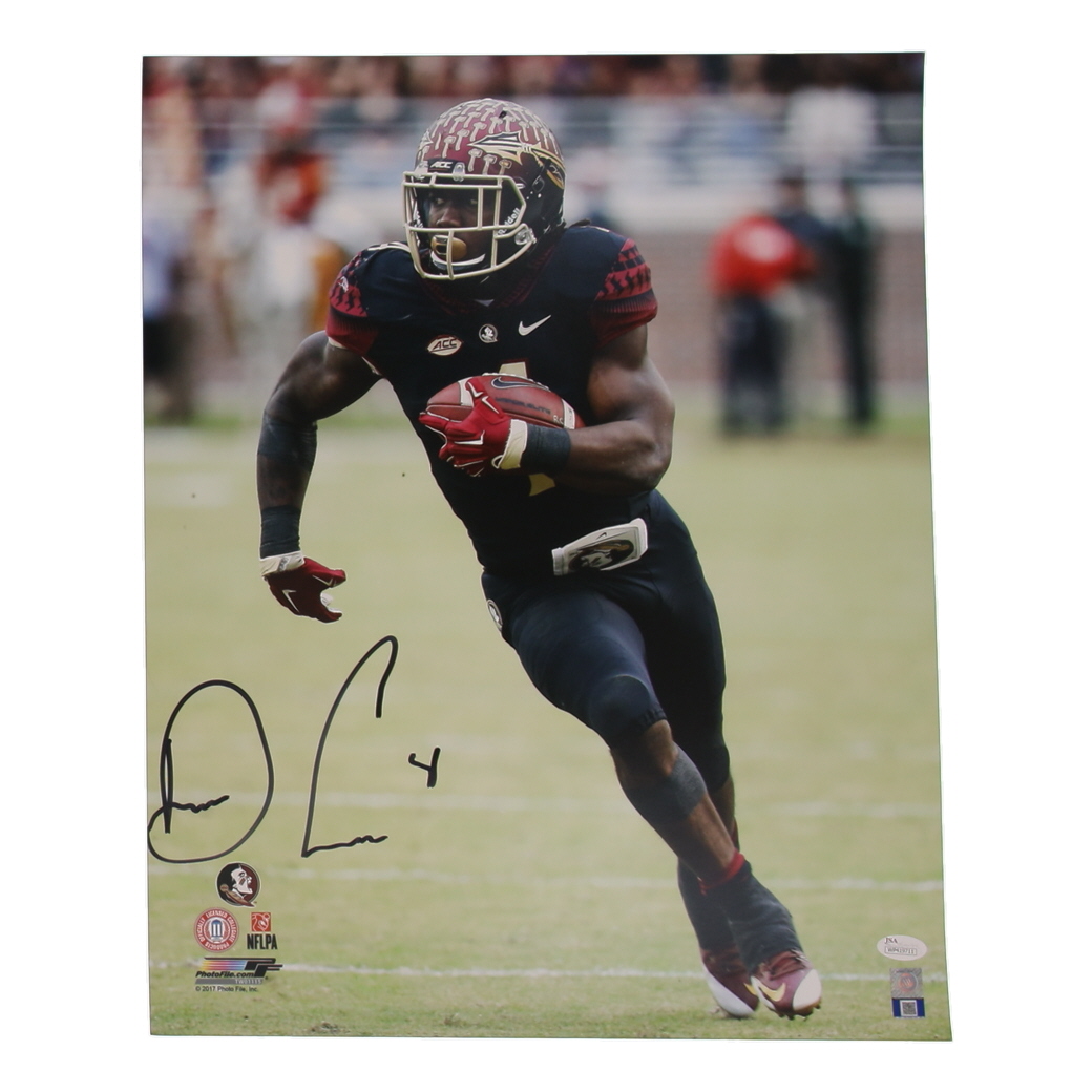Dalvin Cook Signed Seminoles 16x20 Photo (JSA) at PristineAuction.com Dalvin Cook Signed Seminoles 16x20 Photo (JSA) at PristineAuction.com
