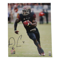 Dalvin Cook Signed Seminoles 16x20 Photo (JSA) at PristineAuction.com
