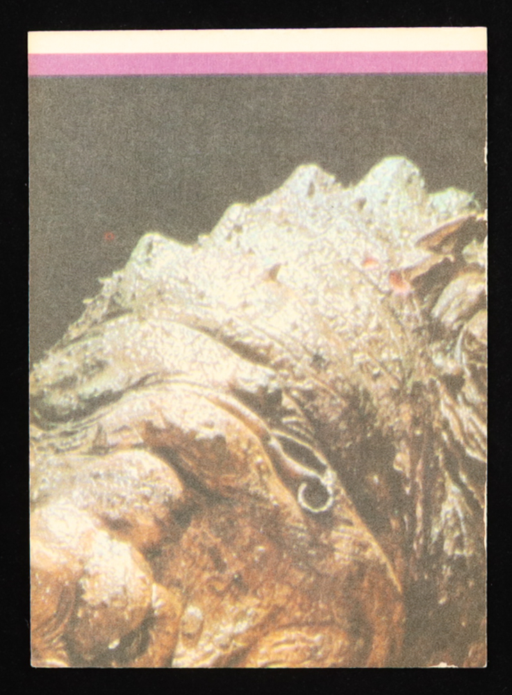 Han Solo 1983 Topps Star Wars Return of the Jedi Stickers #36 at PristineAuction.com Han Solo 1983 Topps Star Wars Return of the Jedi Stickers #36 at PristineAuction.com