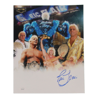 Ric Flair Signed WWE 11x14 Photo (JSA) at PristineAuction.com