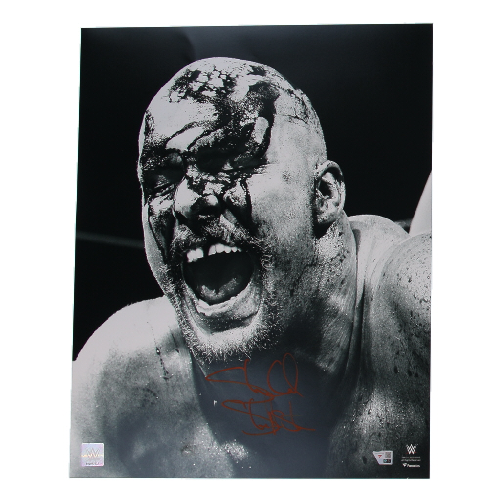 "Stone Cold" Steve Austin Signed WWE 16x20 Photo (Fanatics) at PristineAuction.com "Stone Cold" Steve Austin Signed WWE 16x20 Photo (Fanatics) at PristineAuction.com