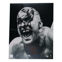 "Stone Cold" Steve Austin Signed WWE 16x20 Photo (Fanatics) at PristineAuction.com