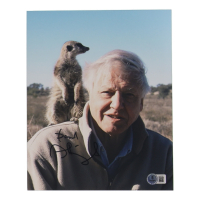 Richard Attenborough Signed 8x10 Photo (Beckett) at PristineAuction.com