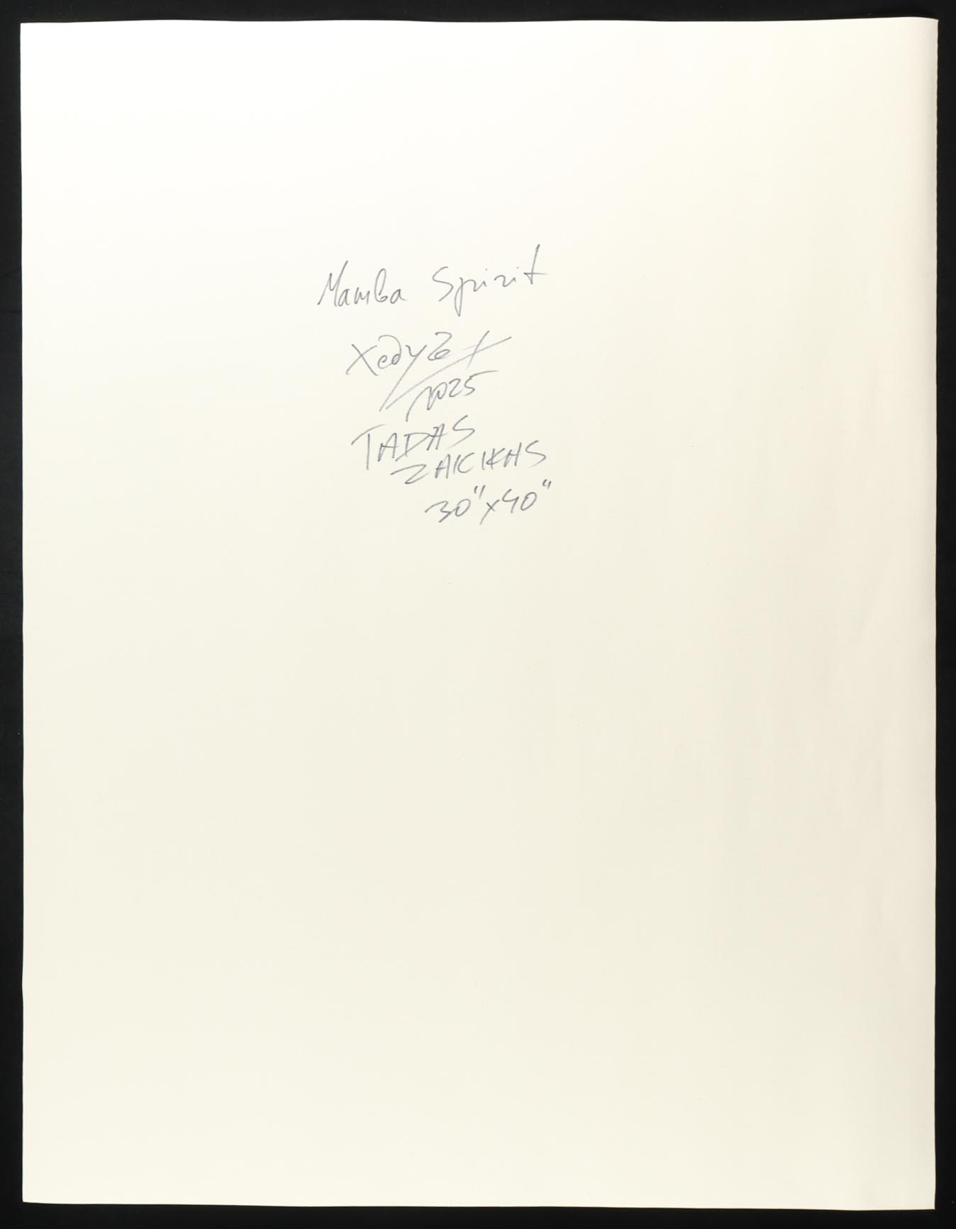 "Mamba Spirit" 2025 34x44 Original Painting on Canvas by Tadas Zaicikas | TedyZet (Zaicikas) at PristineAuction.com "Mamba Spirit" 2025 34x44 Original Painting on Canvas by Tadas Zaicikas | TedyZet (Zaicikas) at PristineAuction.com